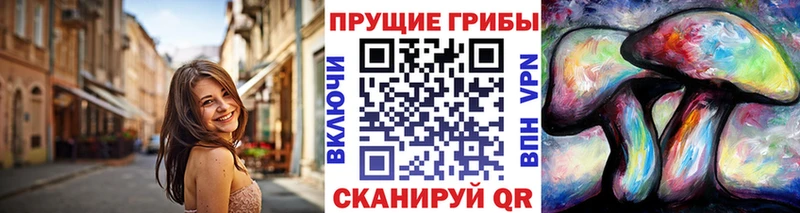 Псилоцибиновые грибы мицелий  хочу наркоту  Волгореченск 